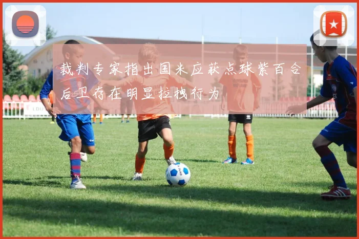 裁判专家指出国米应获点球紫百合后卫存在明显拉拽行为