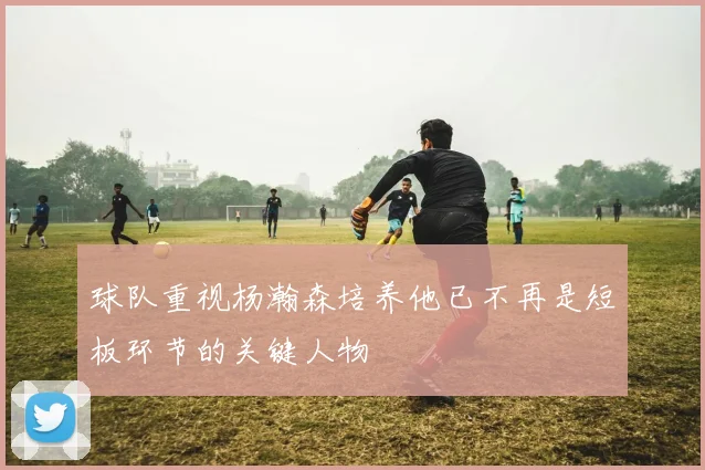 球队重视杨瀚森培养他已不再是短板环节的关键人物