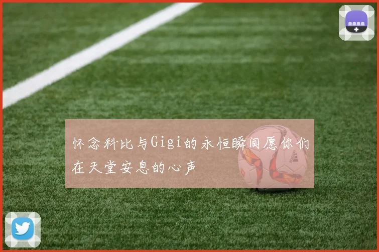 怀念科比与Gigi的永恒瞬间愿你们在天堂安息的心声